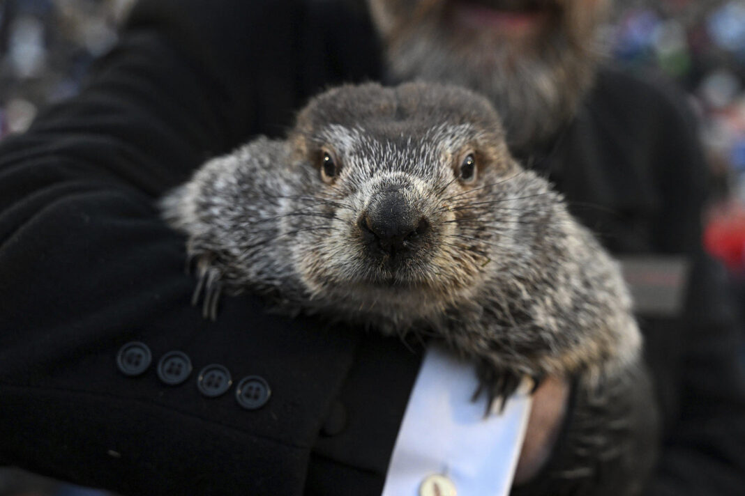 Punxsutawney Phil sees his shadow, predicting 6 more weeks of wintry weather