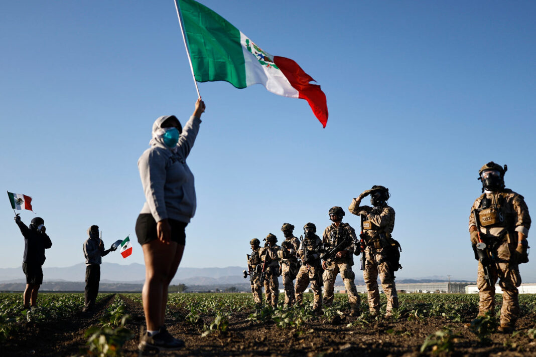 Cannabis farm worker in California dies day after chaotic federal immigration raid
